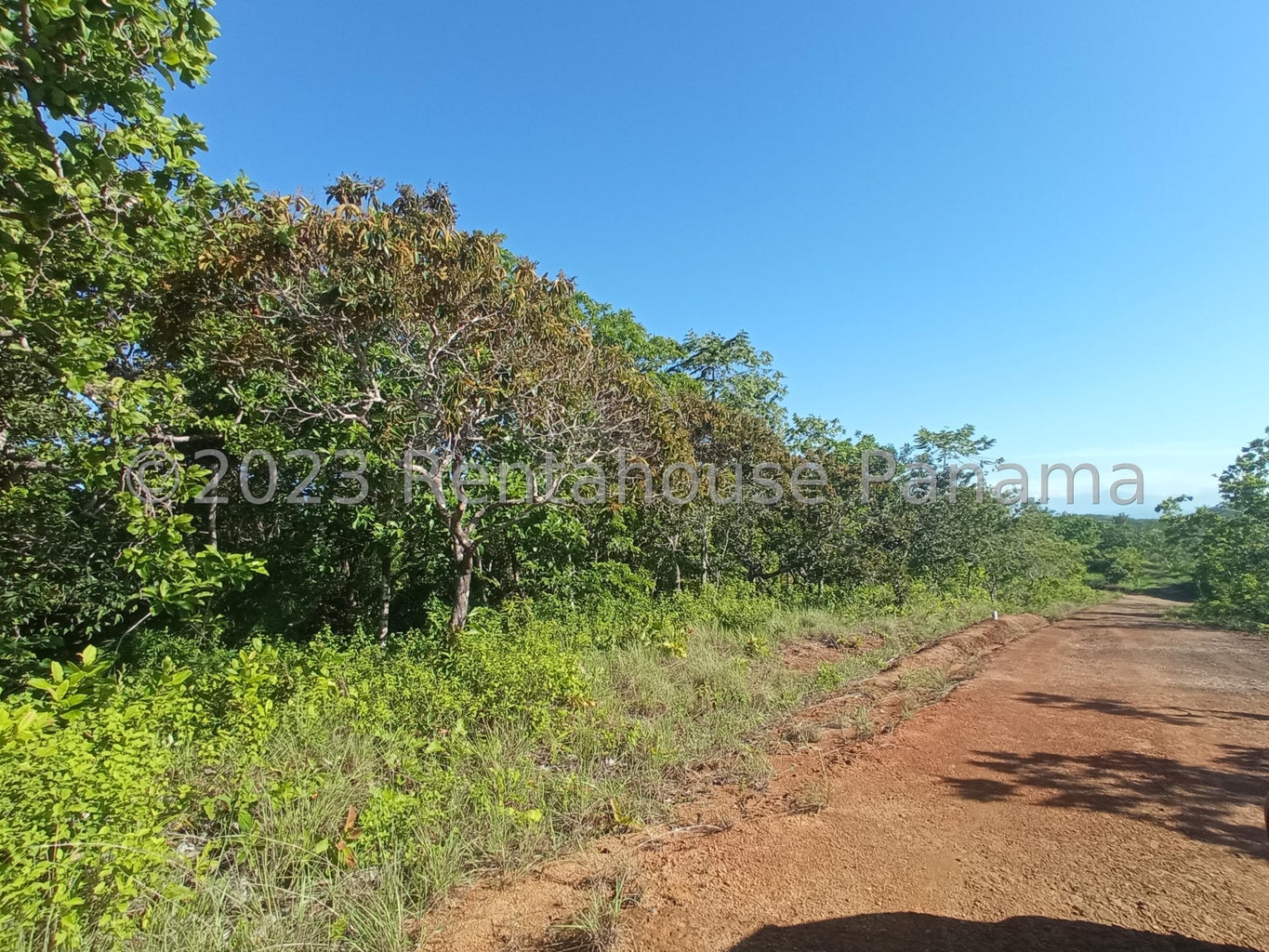 Commercial Property for Sale in Panama City Panamá Province